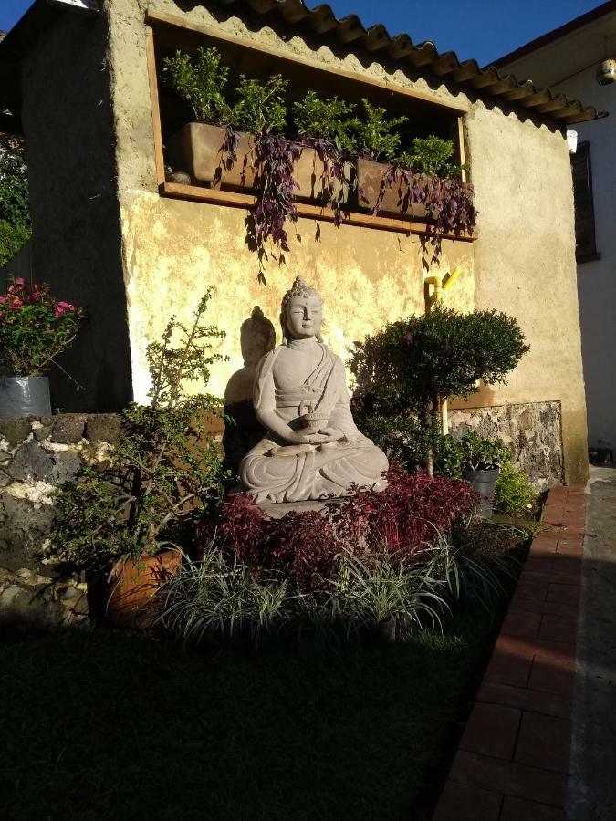 فندق Casa Jade تيبوزتلان المظهر الخارجي الصورة